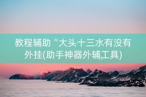 教程辅助“大头十三水有没有外挂(助手神器外辅工具)