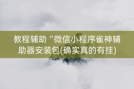 教程辅助“微信小程序雀神辅助器安装包(确实真的有挂)