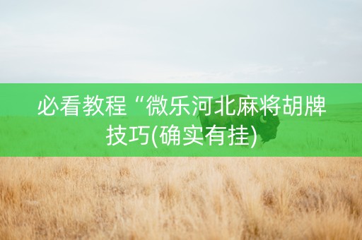 必看教程“微乐河北麻将胡牌技巧(确实有挂)