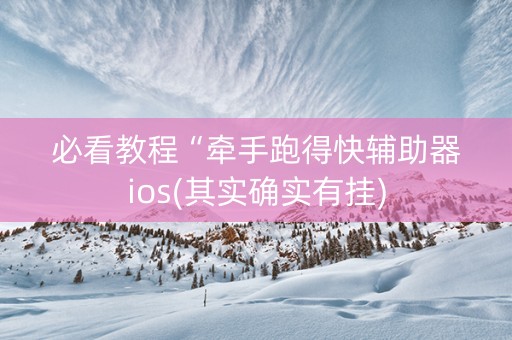 必看教程“牵手跑得快辅助器ios(其实确实有挂)