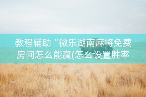教程辅助“微乐湖南麻将免费房间怎么能赢(怎么设置胜率)