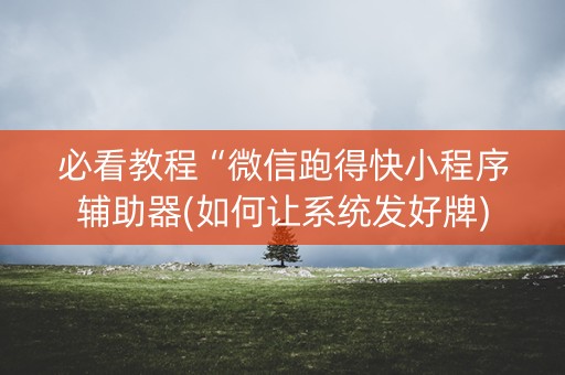 必看教程“微信跑得快小程序辅助器(如何让系统发好牌)