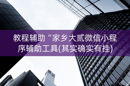 教程辅助“家乡大贰微信小程序辅助工具(其实确实有挂)