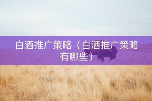 白酒推广策略（白酒推广策略有哪些）