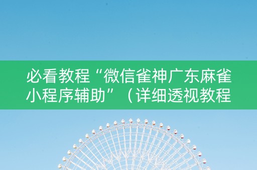 必看教程“微信雀神广东麻雀小程序辅助”（详细透视教程）-哔哩哔哩
