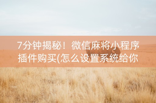 7分钟揭秘！微信麻将小程序插件购买(怎么设置系统给你好牌)
