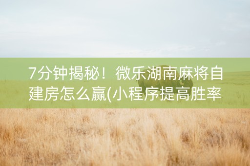 7分钟揭秘！微乐湖南麻将自建房怎么赢(小程序提高胜率)