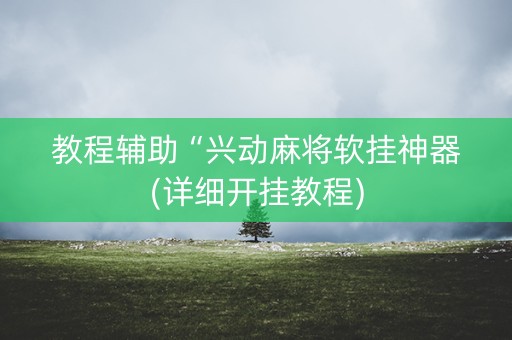 教程辅助“兴动麻将软挂神器(详细开挂教程)