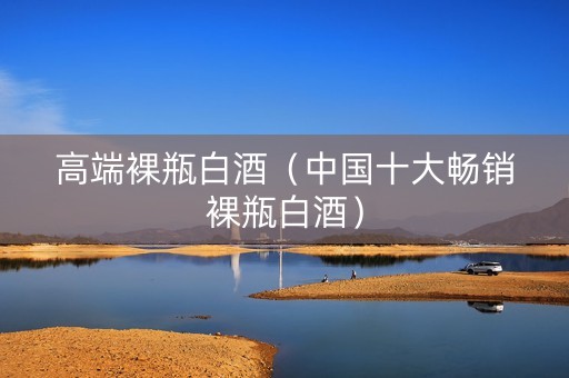 高端裸瓶白酒（中国十大畅销裸瓶白酒）