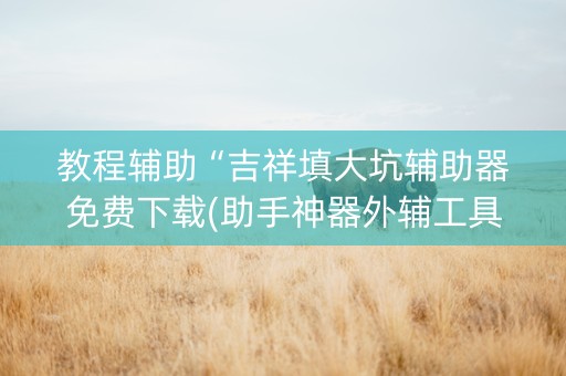 教程辅助“吉祥填大坑辅助器免费下载(助手神器外辅工具)