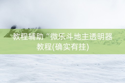 教程辅助“微乐斗地主透明器教程(确实有挂)