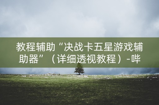 教程辅助“决战卡五星游戏辅助器”（详细透视教程）-哔哩哔哩