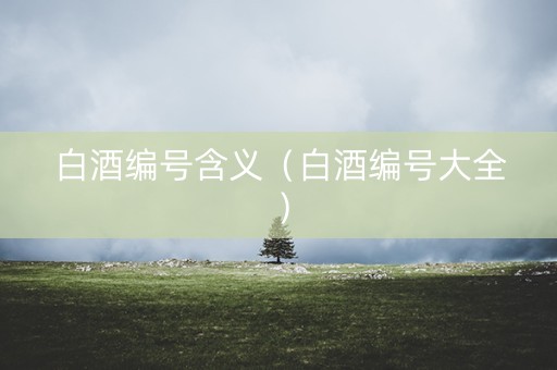 白酒编号含义（白酒编号大全）