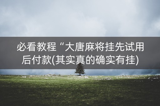 必看教程“大唐麻将挂先试用后付款(其实真的确实有挂)