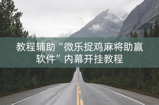 教程辅助“微乐捉鸡麻将助赢软件”内幕开挂教程