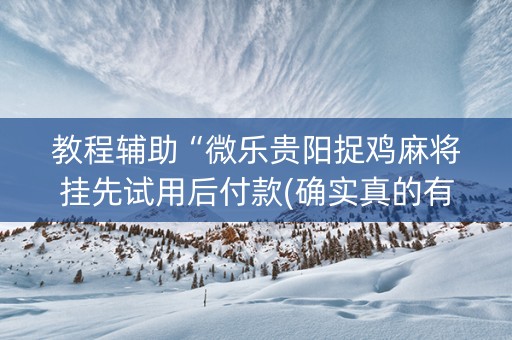 教程辅助“微乐贵阳捉鸡麻将挂先试用后付款(确实真的有挂)