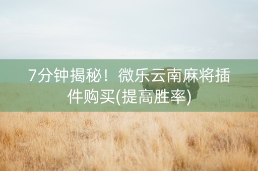 7分钟揭秘！微乐云南麻将插件购买(提高胜率)