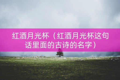 红酒月光杯（红酒月光杯这句话里面的古诗的名字）