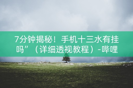 7分钟揭秘！手机十三水有挂吗”（详细透视教程）-哔哩哔哩