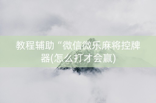 教程辅助“微信微乐麻将控牌器(怎么打才会赢)