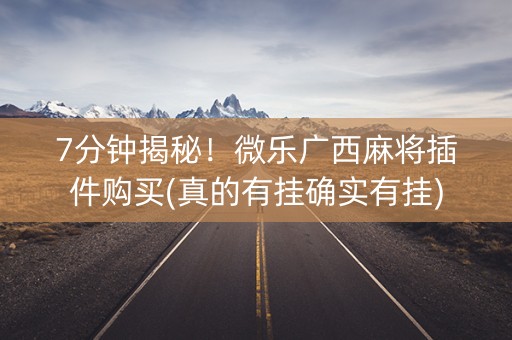 7分钟揭秘！微乐广西麻将插件购买(真的有挂确实有挂)