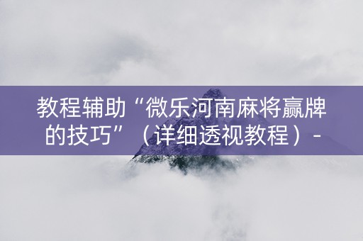 教程辅助“微乐河南麻将赢牌的技巧”（详细透视教程）-哔哩哔哩