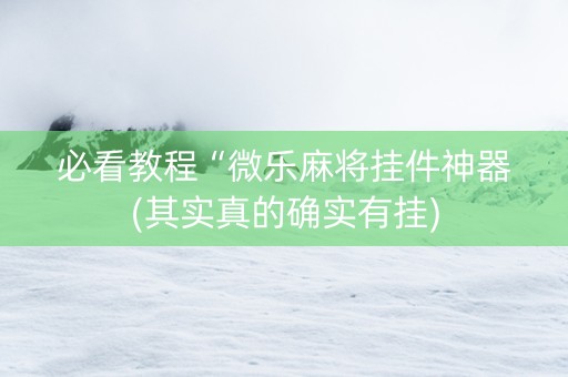 必看教程“微乐麻将挂件神器(其实真的确实有挂)