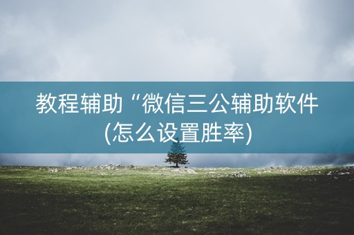 教程辅助“微信三公辅助软件(怎么设置胜率)