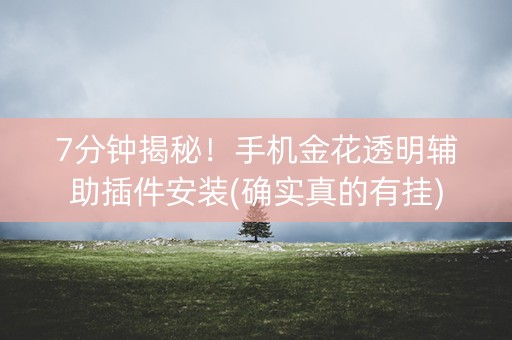 7分钟揭秘！手机金花透明辅助插件安装(确实真的有挂)
