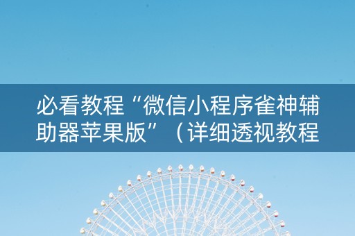 必看教程“微信小程序雀神辅助器苹果版”（详细透视教程）-哔哩哔哩