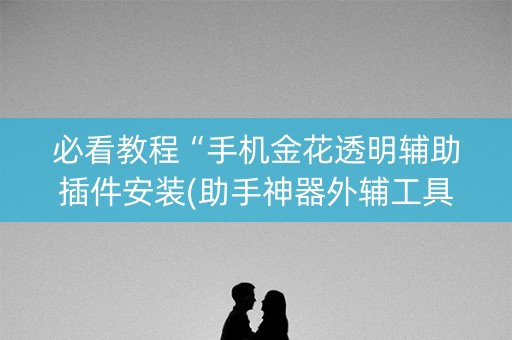必看教程“手机金花透明辅助插件安装(助手神器外辅工具)