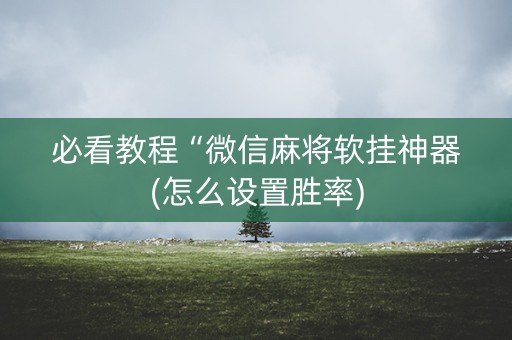 必看教程“微信麻将软挂神器(怎么设置胜率)