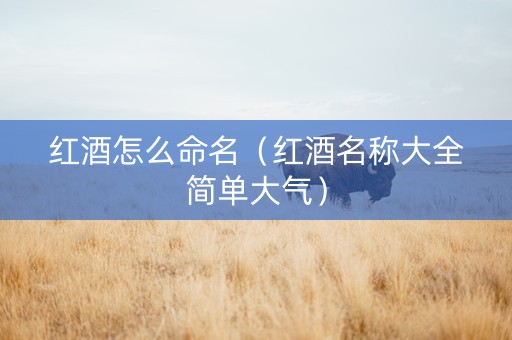 红酒怎么命名（红酒名称大全简单大气）