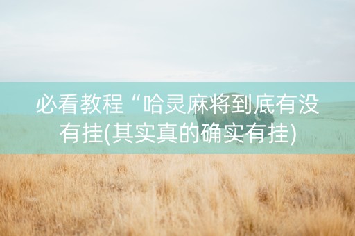 必看教程“哈灵麻将到底有没有挂(其实真的确实有挂)