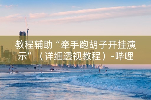 教程辅助“牵手跑胡子开挂演示”（详细透视教程）-哔哩哔哩
