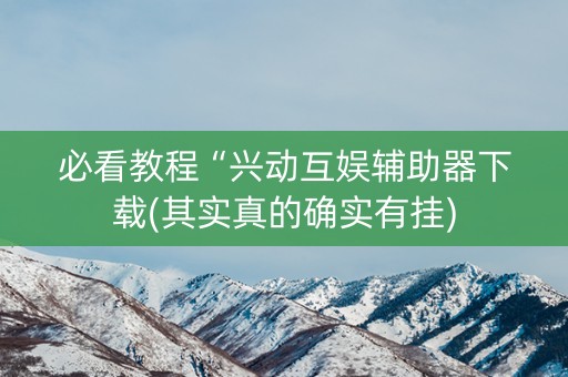 必看教程“兴动互娱辅助器下载(其实真的确实有挂)