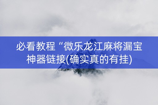 必看教程“微乐龙江麻将漏宝神器链接(确实真的有挂)
