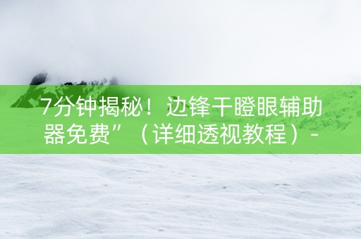 7分钟揭秘！边锋干瞪眼辅助器免费”（详细透视教程）-哔哩哔哩