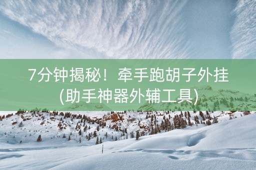 7分钟揭秘！牵手跑胡子外挂(助手神器外辅工具)