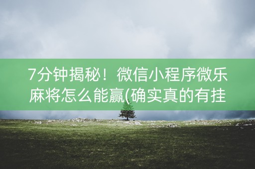 7分钟揭秘！微信小程序微乐麻将怎么能赢(确实真的有挂)