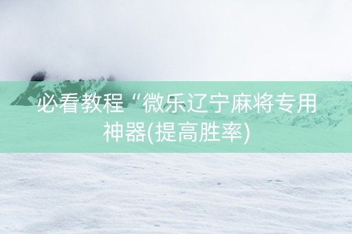 必看教程“微乐辽宁麻将专用神器(提高胜率)