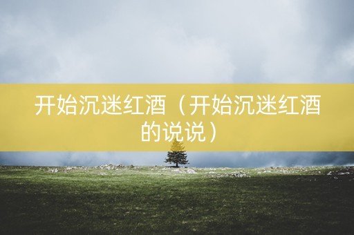 开始沉迷红酒（开始沉迷红酒的说说）