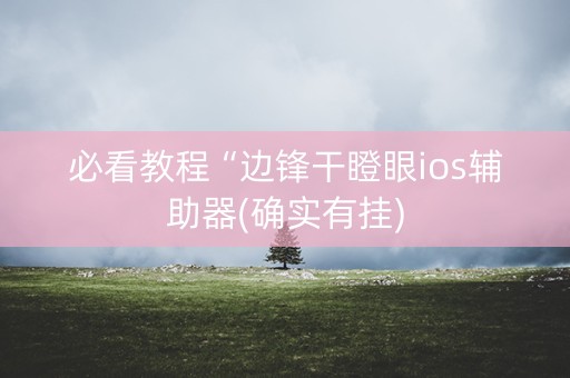 必看教程“边锋干瞪眼ios辅助器(确实有挂)