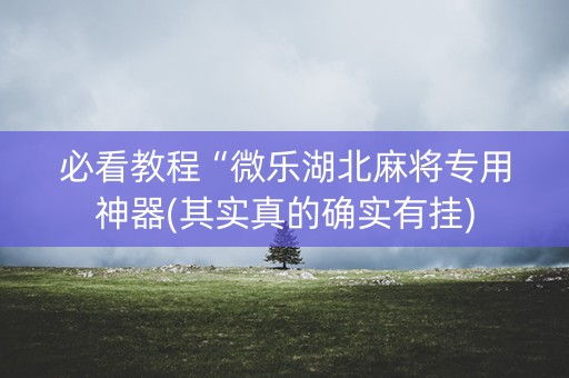 必看教程“微乐湖北麻将专用神器(其实真的确实有挂)