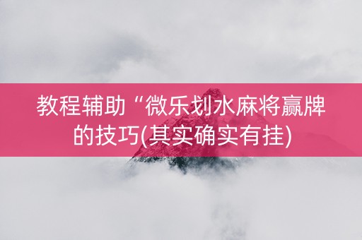 教程辅助“微乐划水麻将赢牌的技巧(其实确实有挂)