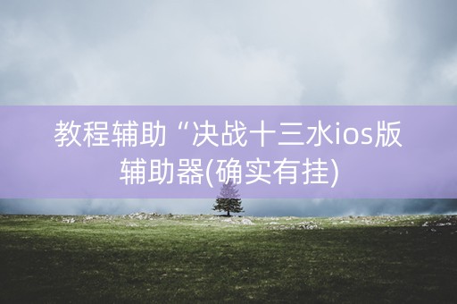 教程辅助“决战十三水ios版辅助器(确实有挂)