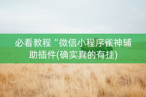 必看教程“微信小程序雀神辅助插件(确实真的有挂)