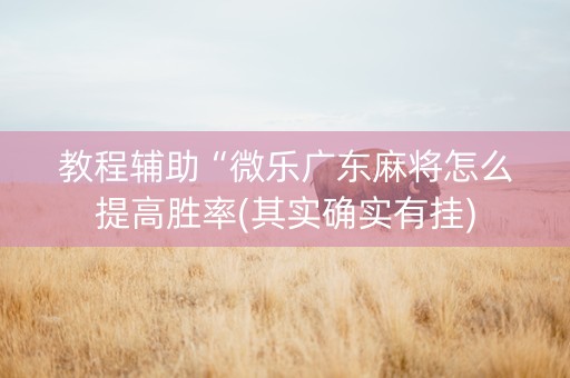 教程辅助“微乐广东麻将怎么提高胜率(其实确实有挂)