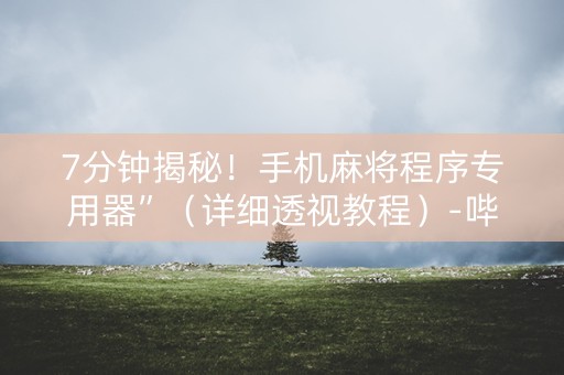 7分钟揭秘！手机麻将程序专用器”（详细透视教程）-哔哩哔哩
