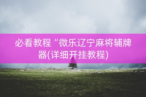 必看教程“微乐辽宁麻将辅牌器(详细开挂教程)
